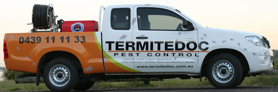 TermitedocNewTruckGraphics